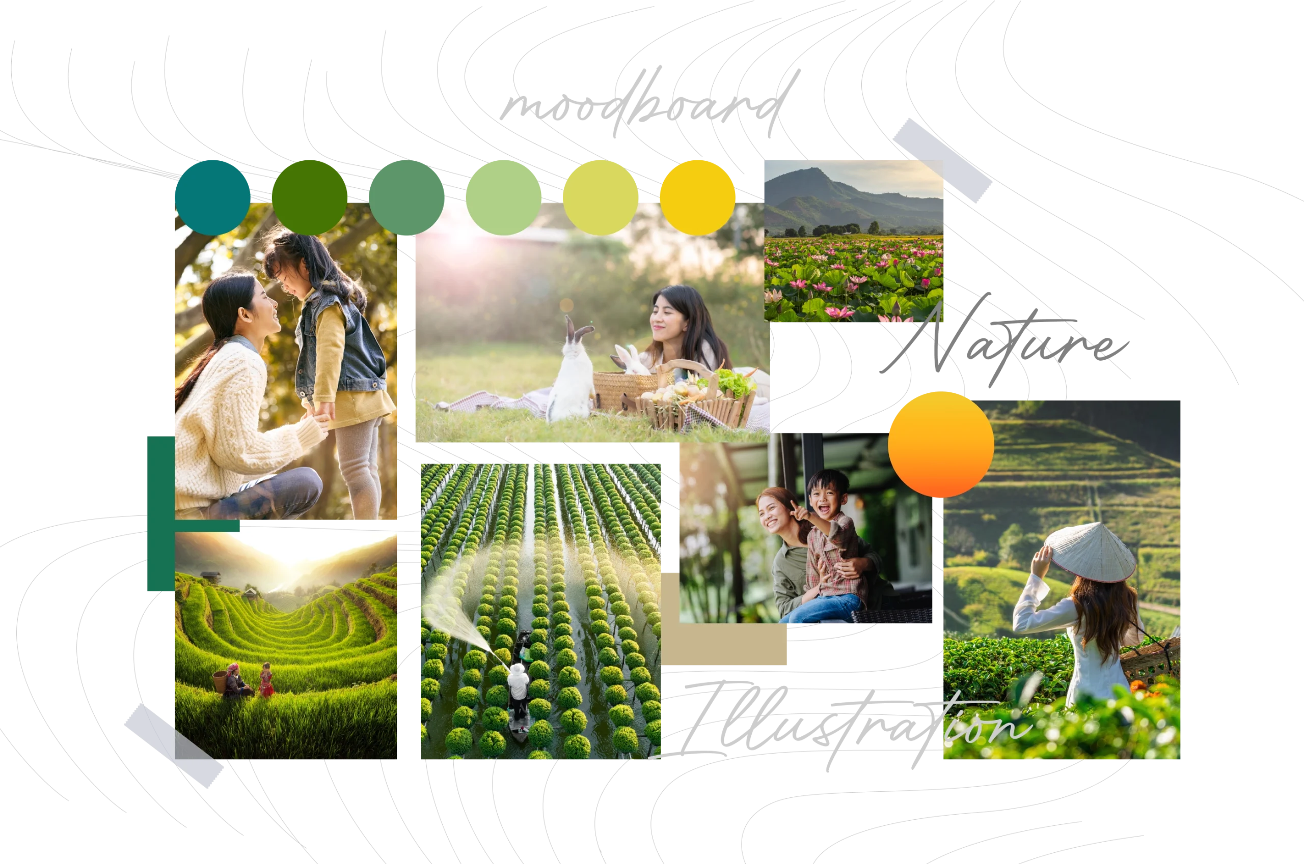 images